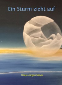 Ein Sturm zieht auf - Klaus Jürgen Meyer - ebook