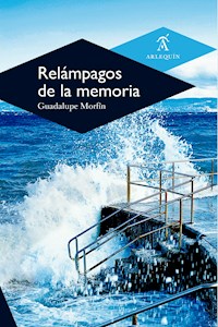 Relámpagos de la memoria - Guadalupe Morfín - ebook