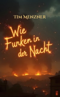 Wie Funken in der Nacht - Tim Menzner - ebook