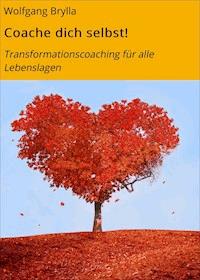 Coache dich selbst! - Wolfgang Brylla - ebook