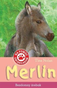 Merlin Bezdomny źrebak - Tina Nolan - książka