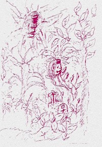 Fremde Landschaften - Alexandra Caragata - ebook