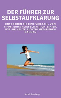 Der Führer zur Selbstaufklärung - Andre Sternberg - ebook