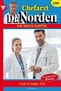 Nach so langer Zeit - Katie Summer - ebook