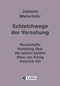 Schleichwege der Vorsehung - Johann Meierlohr - ebook