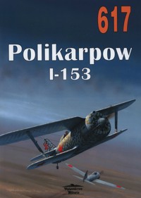 Polikarpow I-153. Tom 617 - Michaił Masłow - książka
