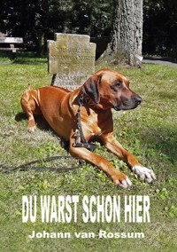 Du warst schon hier - Johann van Rossum - ebook