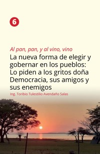 Al pan, pan, y al vino, vino 6 - Ing. Toribio Tulestilio Avendaño Salas - ebook