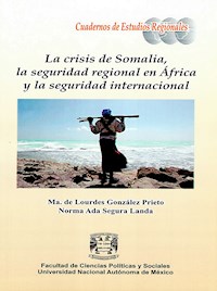 La crisis de Somalia, la seguridad regional en África y la seguridad internacional - Ma. Lourdes González de Prieto - ebook