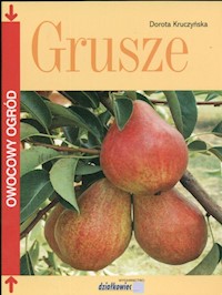 Grusze - Kruczyńska Dorota - książka