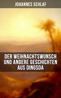 Der Weihnachtswunsch und andere Geschichten aus Dingsda - Johannes Schlaf - ebook