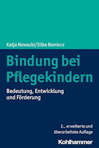 Bindung bei Pflegekindern - Silke Remiorz - ebook