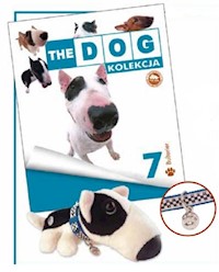 English Bull Terrier -  - książka