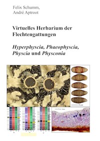 Virtuelles Herbarium der Flechtgattungen - Felix Schumm - ebook