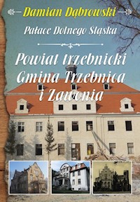 Pałace Dolnego Śląska Powiat trzebnicki Gmina Trzebnica i Zawonia - Dąbrowski Damian - książka