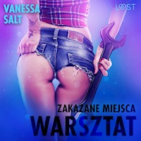 Zakazane miejsca. Zakazane miejsca: Warsztat - opowiadanie erotyczne - Vanessa Salt - audiobook