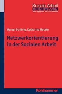 Netzwerkorientierung in der Sozialen Arbeit - Werner Schönig - ebook