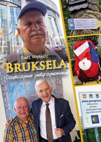 Bruksela. Dziękczynne pielgrzymowanie - Emil Wąsacz - książka