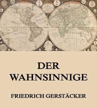 Der Wahnsinnige - Friedrich Gerstäcker - ebook