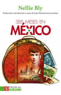 Seis meses en México - Nellie Bly - ebook