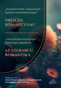 Oblicza romantyzmu -  - książka