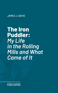 The Iron Puddler - James John Davis - ebook