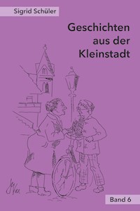 Geschichten aus der Kleinstadt, Band 6 - Sigrid Schüler - ebook