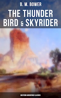 The Thunder Bird & Skyrider (Western Adventure Classics) - B.M. Bower - ebook