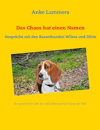 Das Chaos hat einen Namen - Anke Lammers - ebook