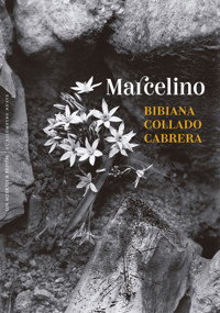 Marcelino - Bibiana Collado Cabrera - ebook