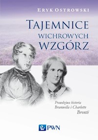 Tajemnice wichrowych wzgórz - Eryk Ostrowski - książka