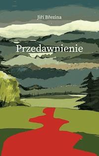 Przedawnienie - Jiří Březina - ebook + książka