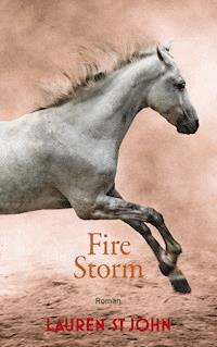 Fire Storm - Lauren St John - ebook