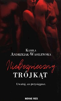 Niebezpieczny trójkąt - Andrzejak-Wasilewska Kamila - ebook + książka