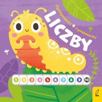 Zgadywanki rymowanki Liczby - Wojtkowiak-Skóra Patrycja - książka