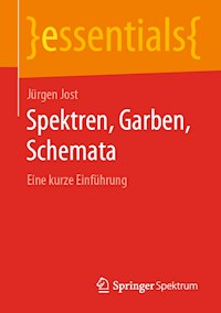 Spektren, Garben, Schemata - Jürgen Jost - ebook