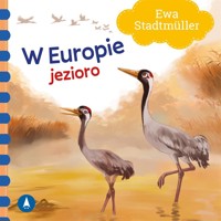 W Europie. Jezioro - Ewa Stadtmüller - książka