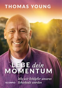 Lebe dein Momentum - Thomas Young - ebook