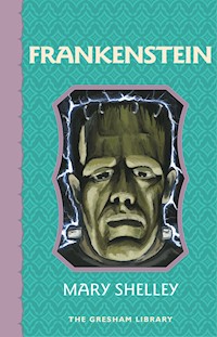 Frankenstein - Mary Shelley - ebook