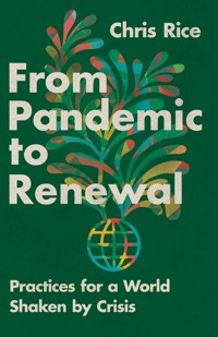 From Pandemic to Renewal - Chris Rice - ebook