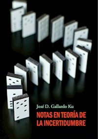 Notas en teoría de la incertidumbre - José D. Gallardo Ku - ebook