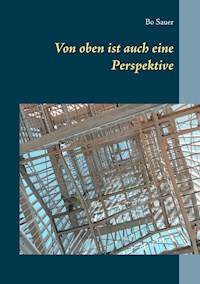Von oben ist auch eine Perspektive - Bo Sauer - ebook