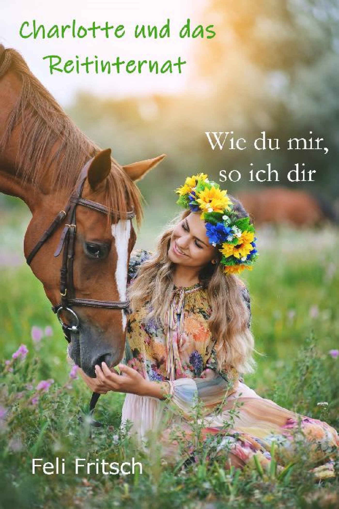 Charlotte und das Reitinternat - Wie du mir, so ich dir - Feli Fritsch - ebook