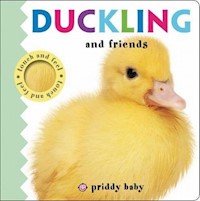 Duckling and Friends Touch and Feel - Priddy  Roger - książka
