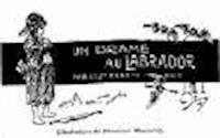 Un drame au Labrador - Vinceslas Eugène Dick - darmowy ebook