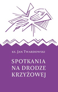 Spotkania na drodze krzyżowej - Ks. Jan Twardowski - książka
