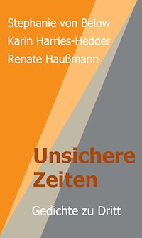 Unsichere Zeiten - Renate Haußmann - ebook