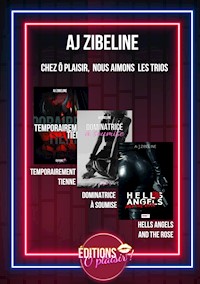 Les Trios O'Plaisir - Zibeline AJ - ebook