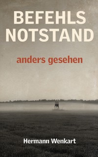 Befehlsnotstand anders gesehen - Hermann Wenkart - ebook