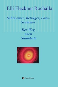 Schlawiner, Betrüger, Love-Scammer - Elli Fleckner Rochalla - ebook